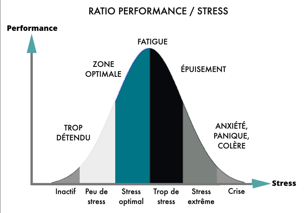  Image graphique illustrant la relation entre performance et stress sous forme de ratio